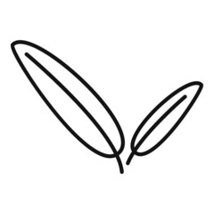 Sage mint icon outline vector. Herb plant