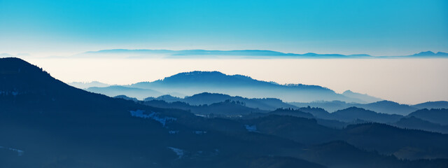 Amazing mystical rising fog forest trees mountains landscape panorama in Black Forest ( Schwarzwald...