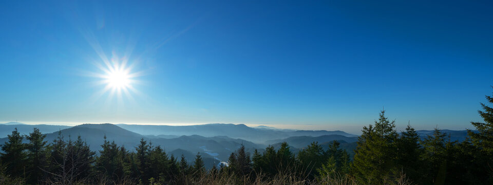 Amazing fog landscape in black forest panorama banner long, with firs, mountains, hills blue sky and sunshine © Corri Seizinger