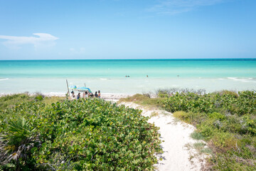 Sandy coast of the Gulf of Mexico near Rio Lagartos. Green grass in the foreground and azure water and horizon in the background, Yucatan, Las Coloradas