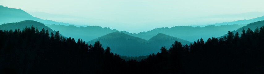 Amazing mystical rising fog forest trees mountains landscape panorama in Black Forest ( Schwarzwald...