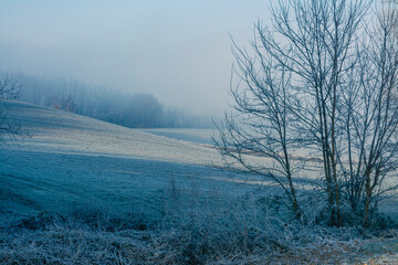 Givre en Drôme des collines7