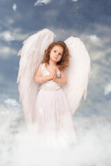 charming little angel girl with huge wings folding her hands to pray against the sky on Valentine's Day, February 14 and lovers cupid