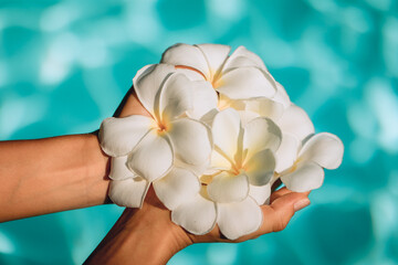 Pretty female hands are holding a bouquet of beautiful plumeria flowers over shining water, close up