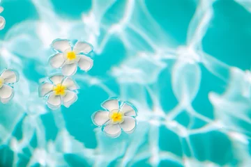 Rolgordijnen Beautiful white plumeria flowers are in the iridescent water, close up, background © Semachkovsky 