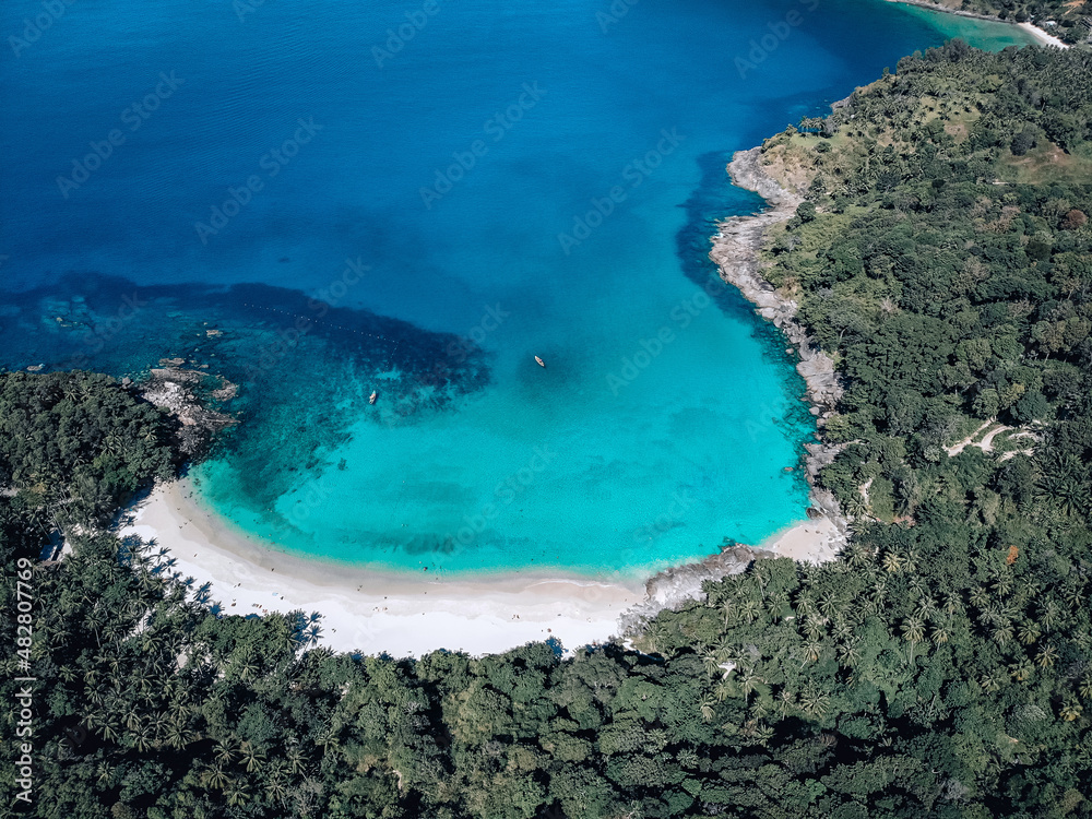 Wall mural top view of the beautiful magnificent coast of a white sand beach and a huge number of tall green tr