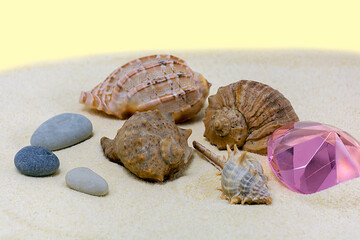 Summer. Sea shells and pebbles on the sand with a blue background. Concept close-up.
 Seasonal sale background for store.
