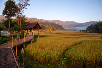 Beautiful morning light, Boon Kho Ku So Bridge is located in Pam Bok Village.