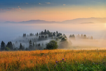 beautiful landscape with valleys, sun and fog in Pieniny mountains