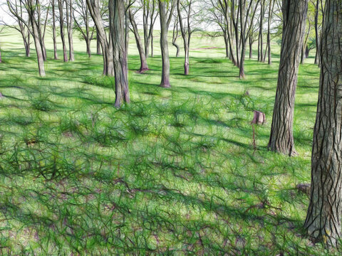 open woodland with green pasture in glowing  style