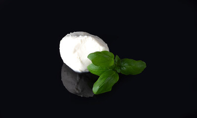 White Mozzarella cheese ball and basil on black background close up