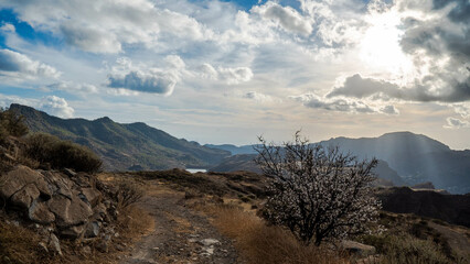 dam and reservoirs of the Canary Islands on the island of Gran Canaria in ravines of the island in a protected natural area with wild nature plants and native vegetation with beautiful lights, reflect