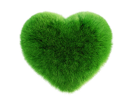 Green heart shaped grass isolated on white background. 3d rendering
