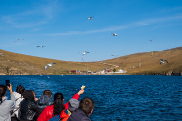 People feed seagulls from the ferry. Baikal Lake in autumn. Strait Olkhonskie Vorota and regular...