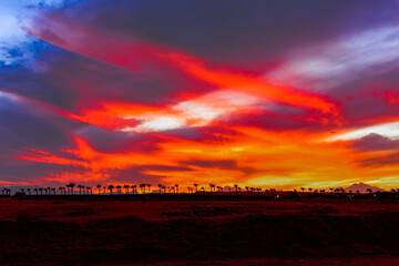 very beautiful orange, red, yellow and purple colors of the sunset sky with silhouettes of mountains and palms in egypt, sahl hashish