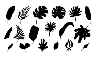 Leaves tropical. Black silhouette jungle exotic leaf palm, monstera and banana. Botanical decor, summer nature design object, rainforest subtropical tree. Vector isolated on white background set