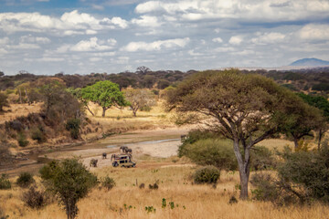 Fototapeta na wymiar landscape in tanzania africa