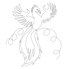 phoenix bird, fire bird drawing in one continuous line ,vector, isolated