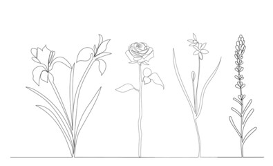 plants, flowers drawing in one continuous line, vector, isolated