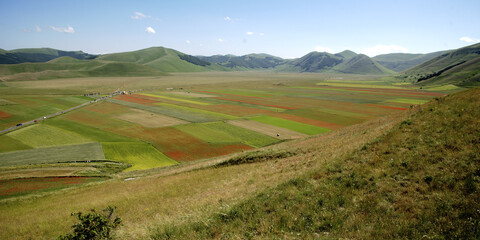 June 2021. The flowering of lentils in Castelluccio di Norcia. Nature transforms the plain at the foot of Mount Carrier into a multi-colored painting