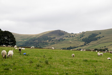 Peaks in the Peak District near Edale, Derbyshire