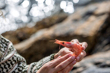 Seafood, Norwegen, Skandinavien