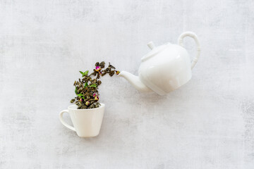 Tea concept with white teapot and dry tea leaves