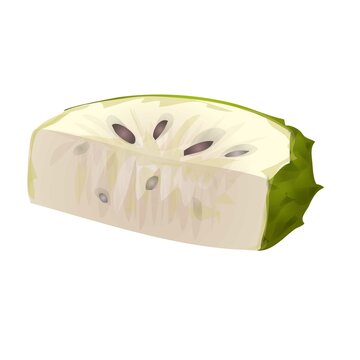 Cutted soursop icon cartoon vector. Graviola fruit