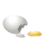 Eggshell icon cartoon vector. Broken egg