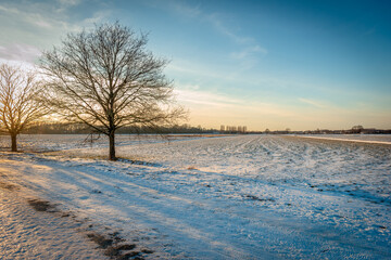 Backlit shot of two bare trees in a winter landscape. The photo was taken at the end of the afternoon near the Dutch village of Terheijden, municipality of Drimmelen, province of North Brabant.