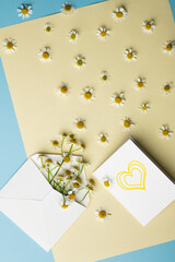 White greeting card and envelope mockup with white daisies on yellow background