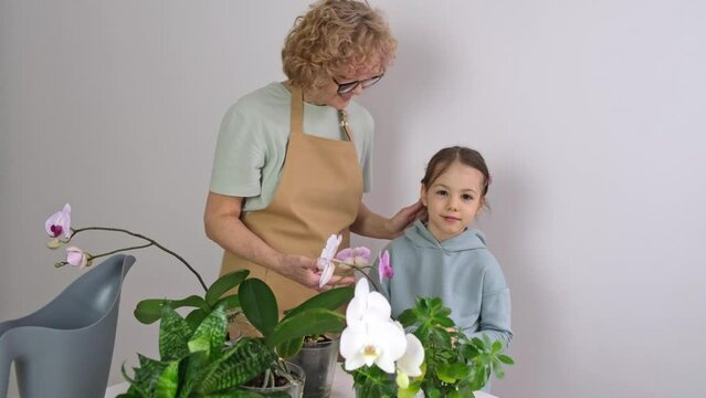 Senior Woman hugs her granddaughter and enjoy her orchids House Plants