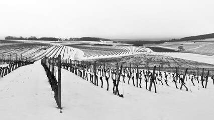 Paysage d'hiver en noir et blanc dans les "Hautes-Côtes de Nuits", Marey-lès-Fussey, France