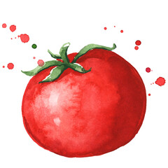 Fresh ripe red tomato watercolor illustration
