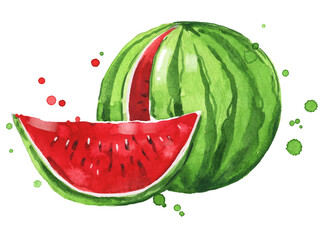 Fresh ripe watermelon watercolor illustration - 482824556