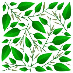 Illustration Vector Background of Beautiful Fresh Green Leaves on Tree Branches.
