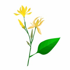 Fototapeta na wymiar Beautiful Flower, Illustration of Yellow Champaka or Magnolia Champaca Flowers with Green Leaves on Tree Branch. 