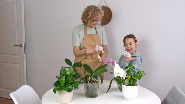 Senior Woman with child enjoy her orchids House Plants