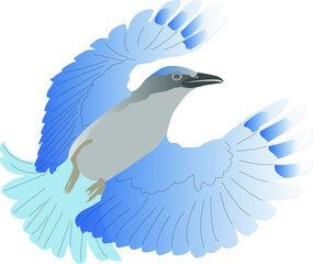 cute colorful jay vector bird on a white background.
