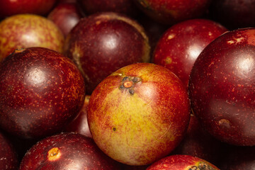 Camu camu fruits, a native plant of the Amazon, it is common to find these colorful fruits in the...