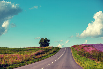 View of the road on the hills from the windscreen in summer