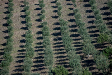 PORTUGAL ALENTEJO EVORAMONTE