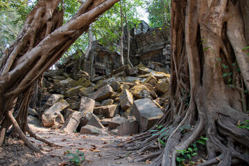 Fototapeta na wymiar カンボジアの遺跡 -Cambodian Ruins-