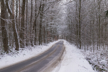 Asfaltowa droga przebiegająca przez las pokryta warstwą śniegu. - obrazy, fototapety, plakaty