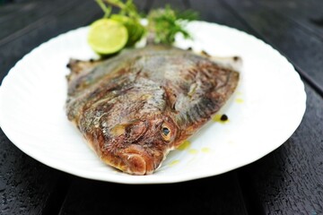 Fresh fish on plates isolated on white. Flounder or flatfish.