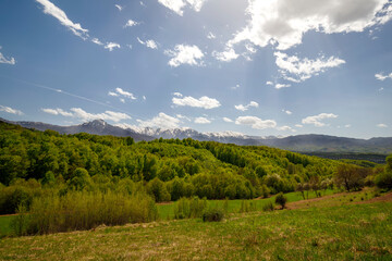 Naklejka premium Snow-capped mountains at the horizon and green forest. Colorful landscape in spring.