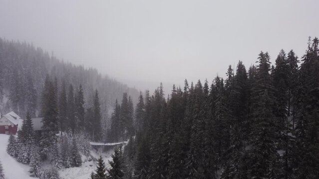 Winter spruce forest and mountains from air. Winter landscape. aerial drone shot. blizzard