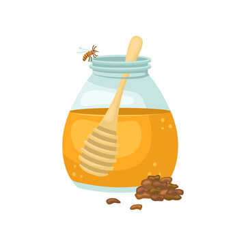 Vector illustration of a jar of honey and pieces of propolis. Biologically active additive.