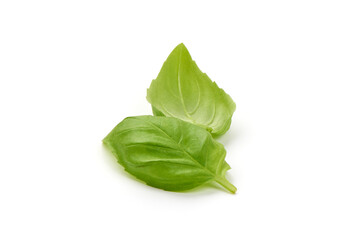 Basil leaves, isolated on white background.
