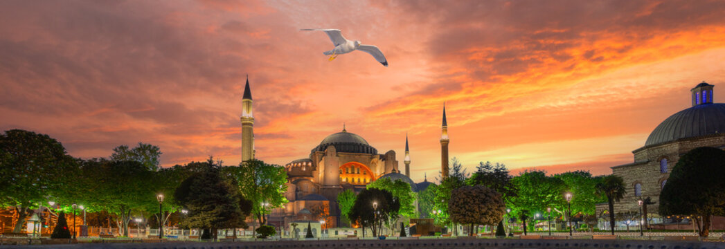 Hagia Sophia Mosque and seagull above it under dramatic sky